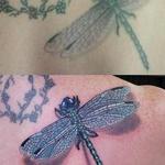 Tattoos - DRAGONFLY REDO - 100929